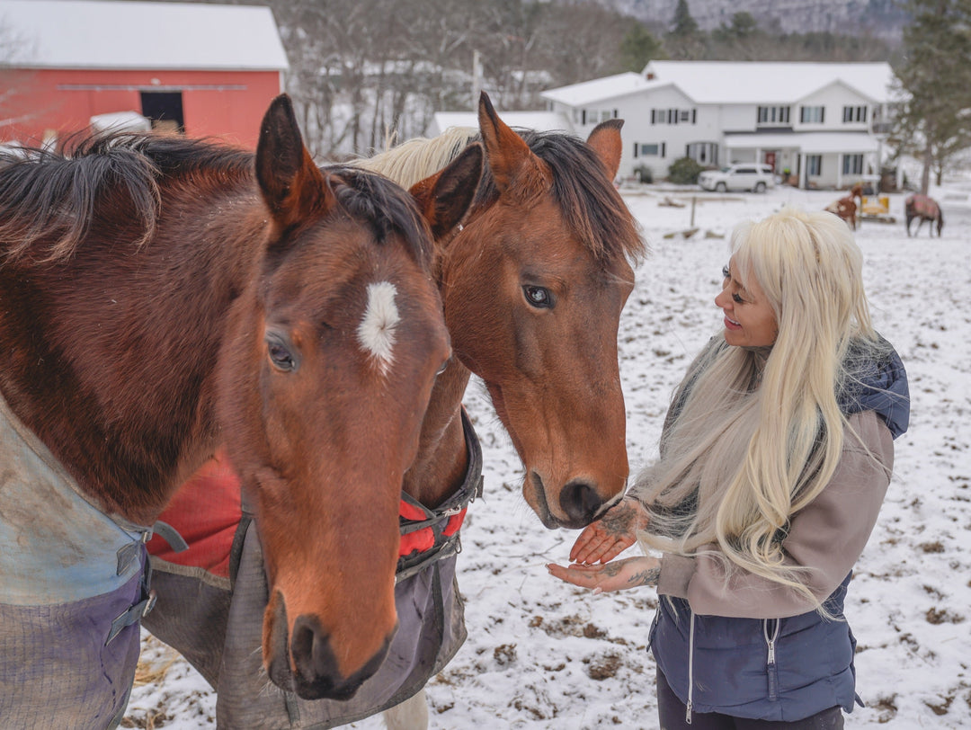 A Story of Unbreakable Bonds: How Horses Help Each Other Heal