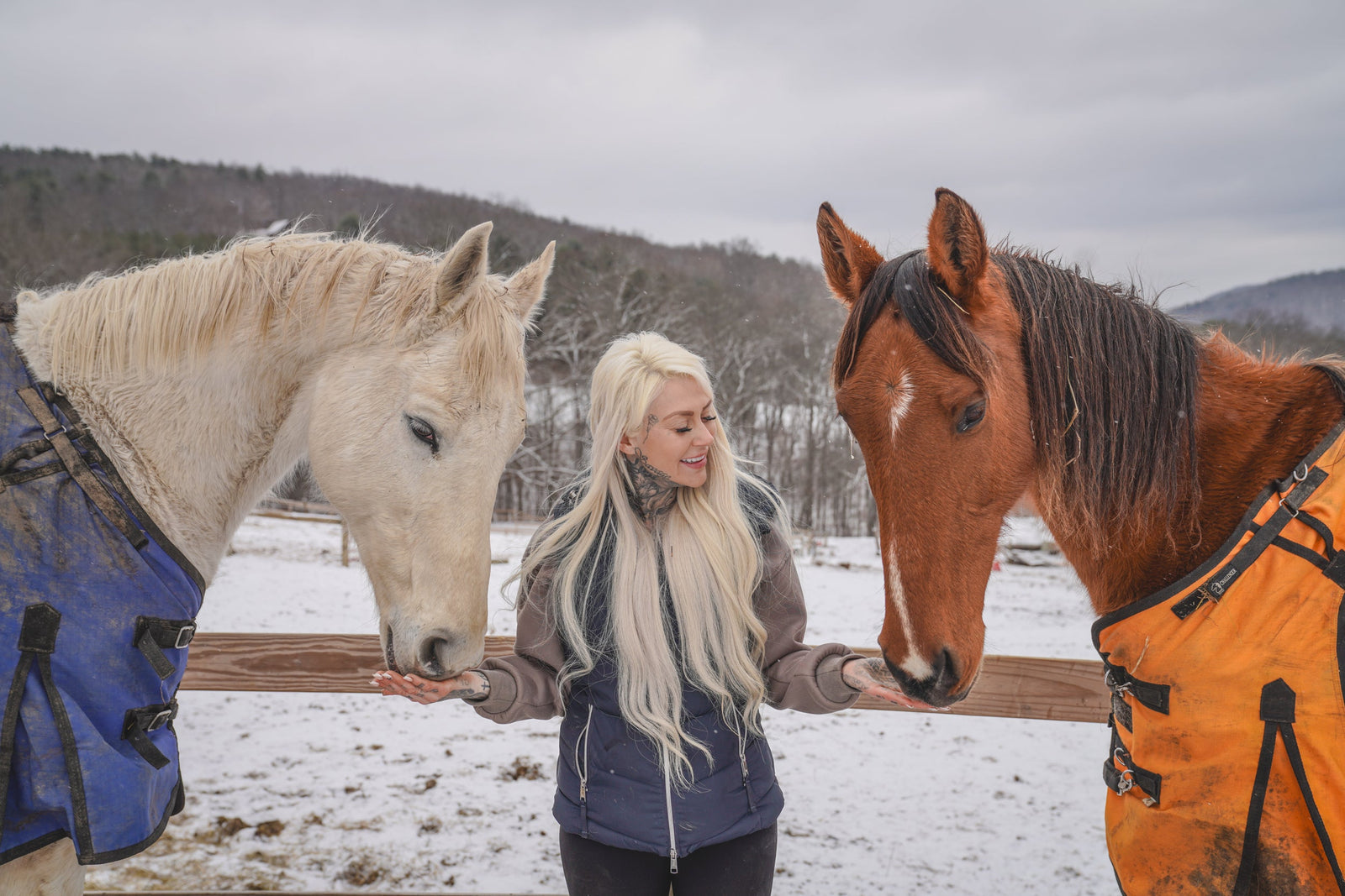 Understanding Strangles in Horses: Our Journey With Sammy